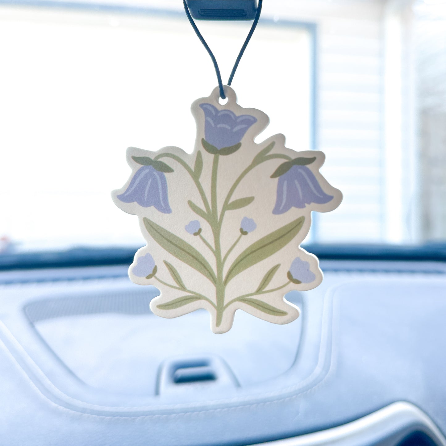 Coastal Car Fresheners
